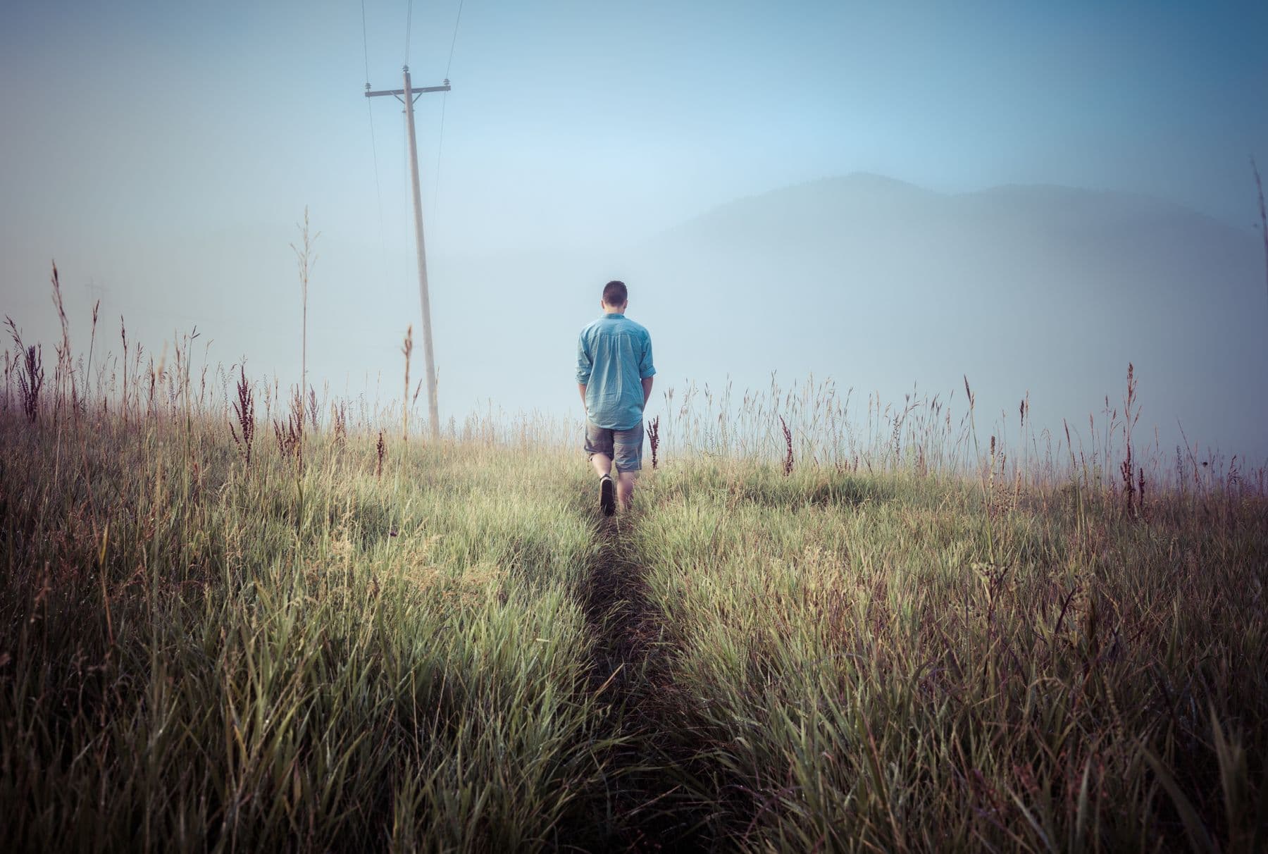 A figure walking a narrow path through a misty field at dawn.