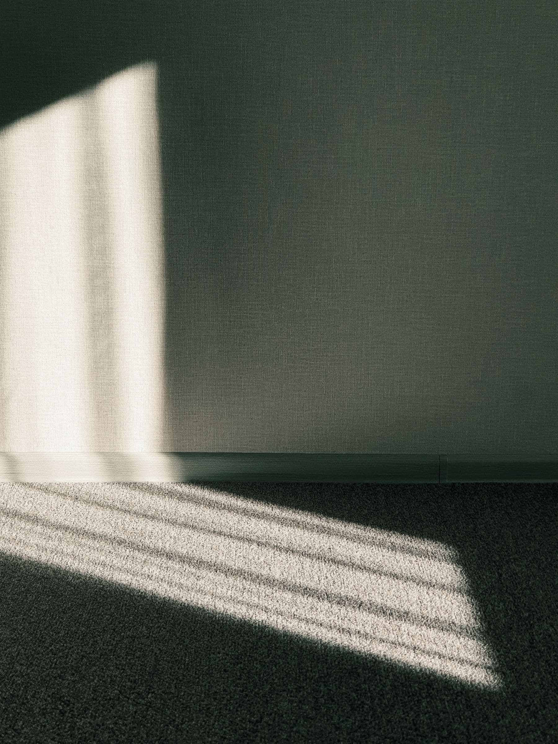 Morning light falling across a plain interior wall.