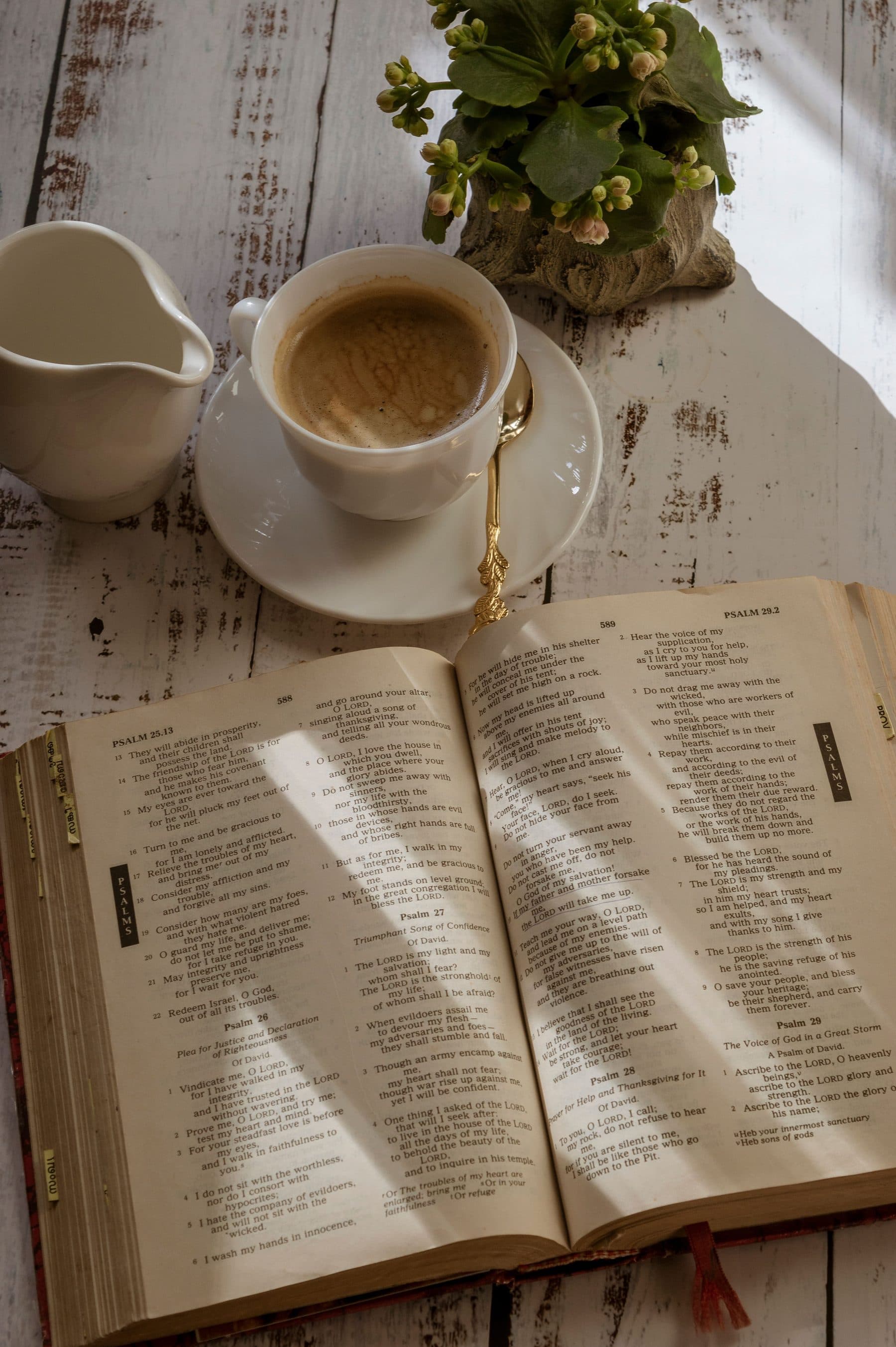 A Bible lying open to the Psalms on a whitewashed table, beside a cup of coffee, a small jug and a flowering plant in morning light.