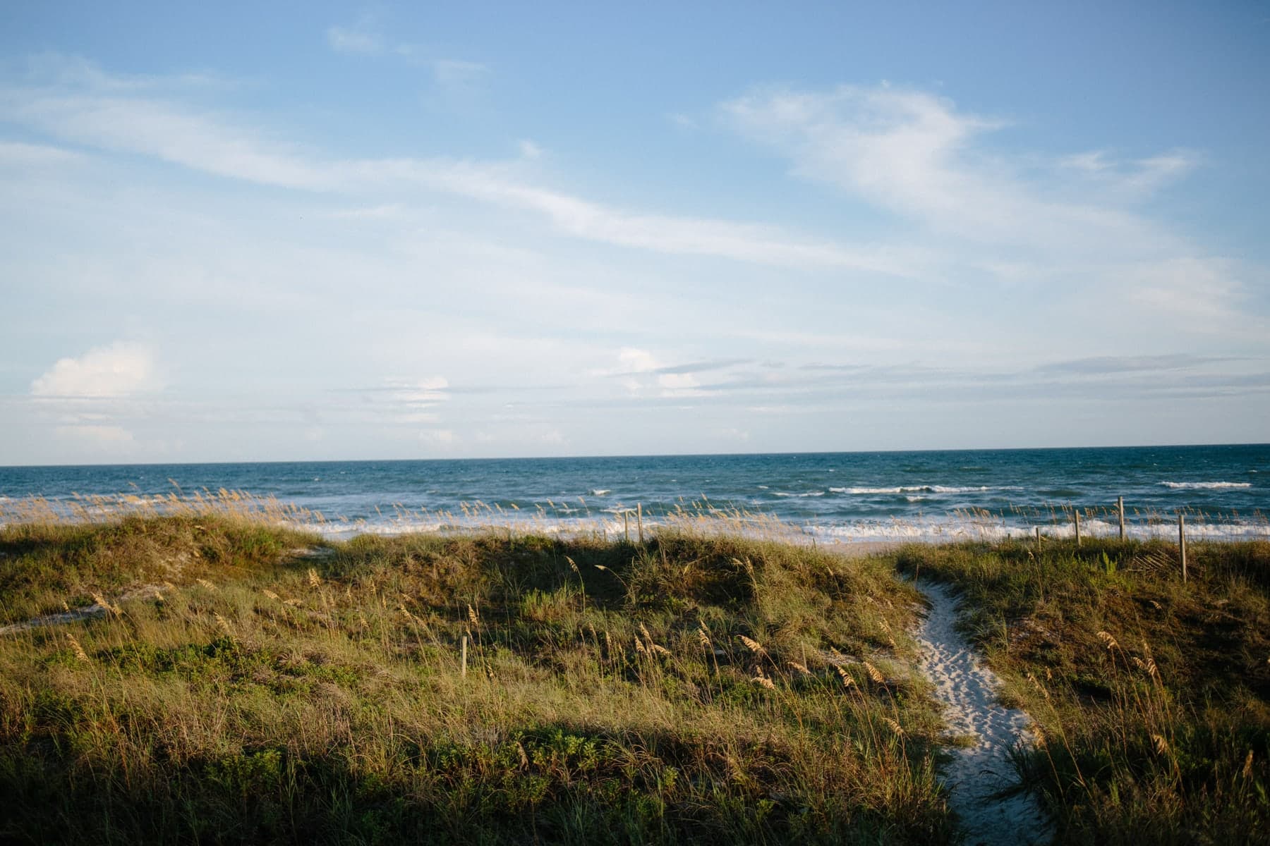 A sand path through sea oats opening onto the ocean.