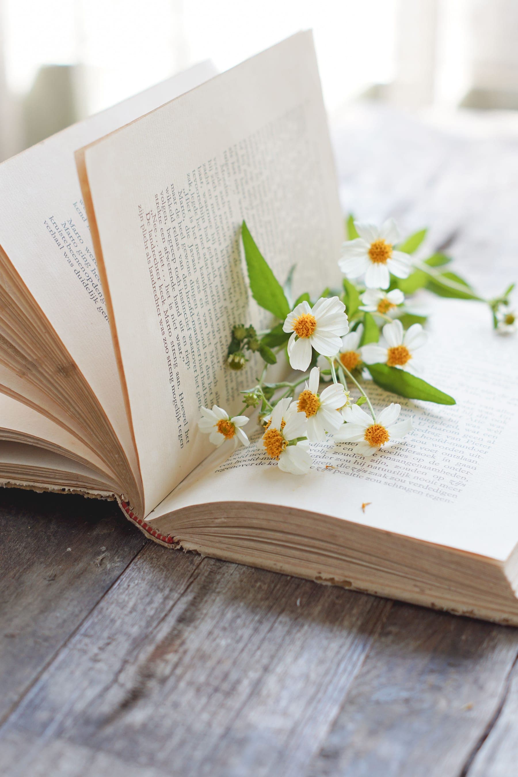 An open book on a weathered wooden table, with small white daisies laid across the pages.